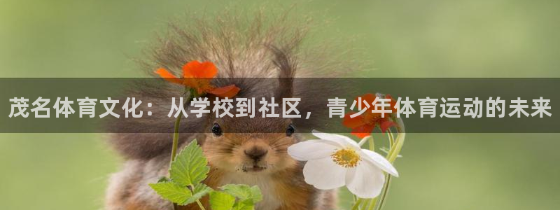 凯发官网下载平台是正规平台吗:茂名体育文化:从学校到社区,青