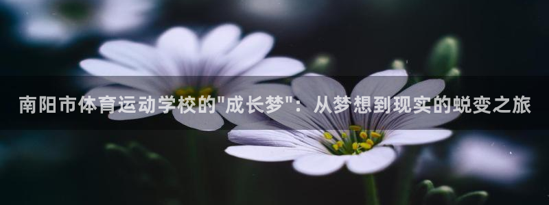 凯发官方正版app娱乐:南阳市体育运动学校的\